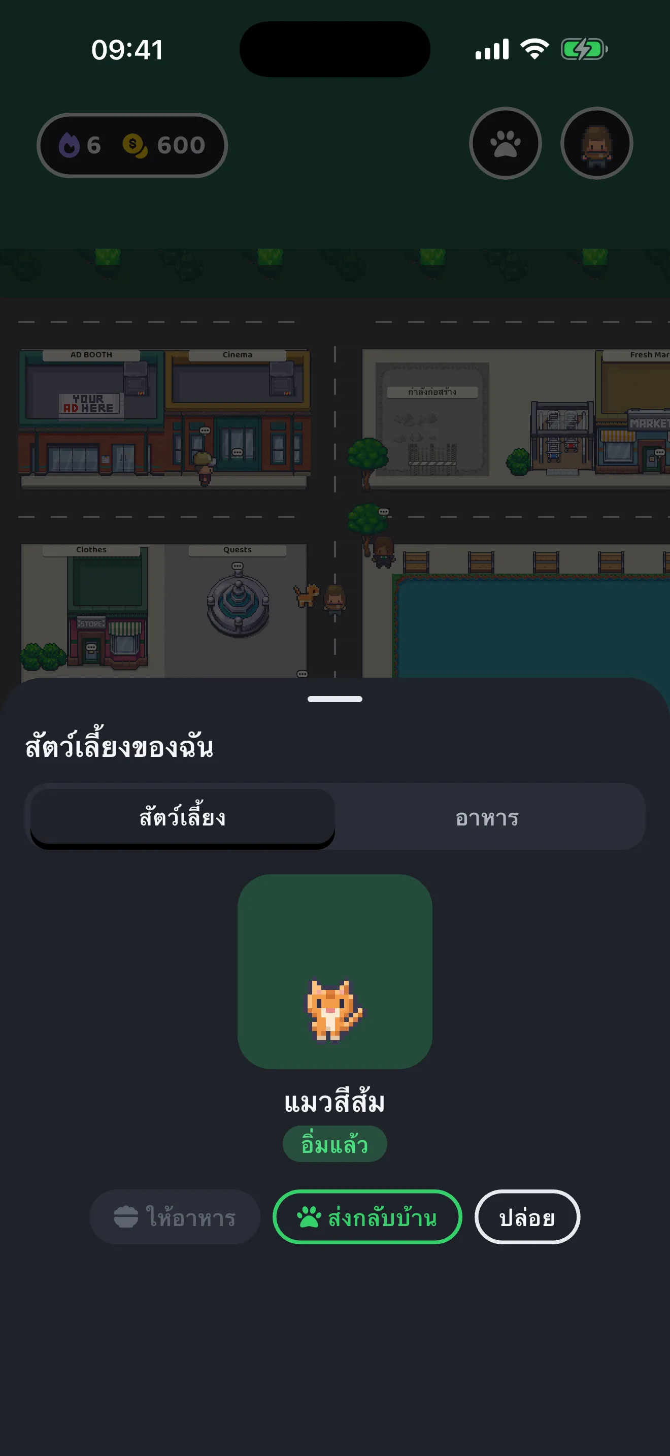 สัตว์เลี้ยงเดินตามตัวละครบนแผนที่