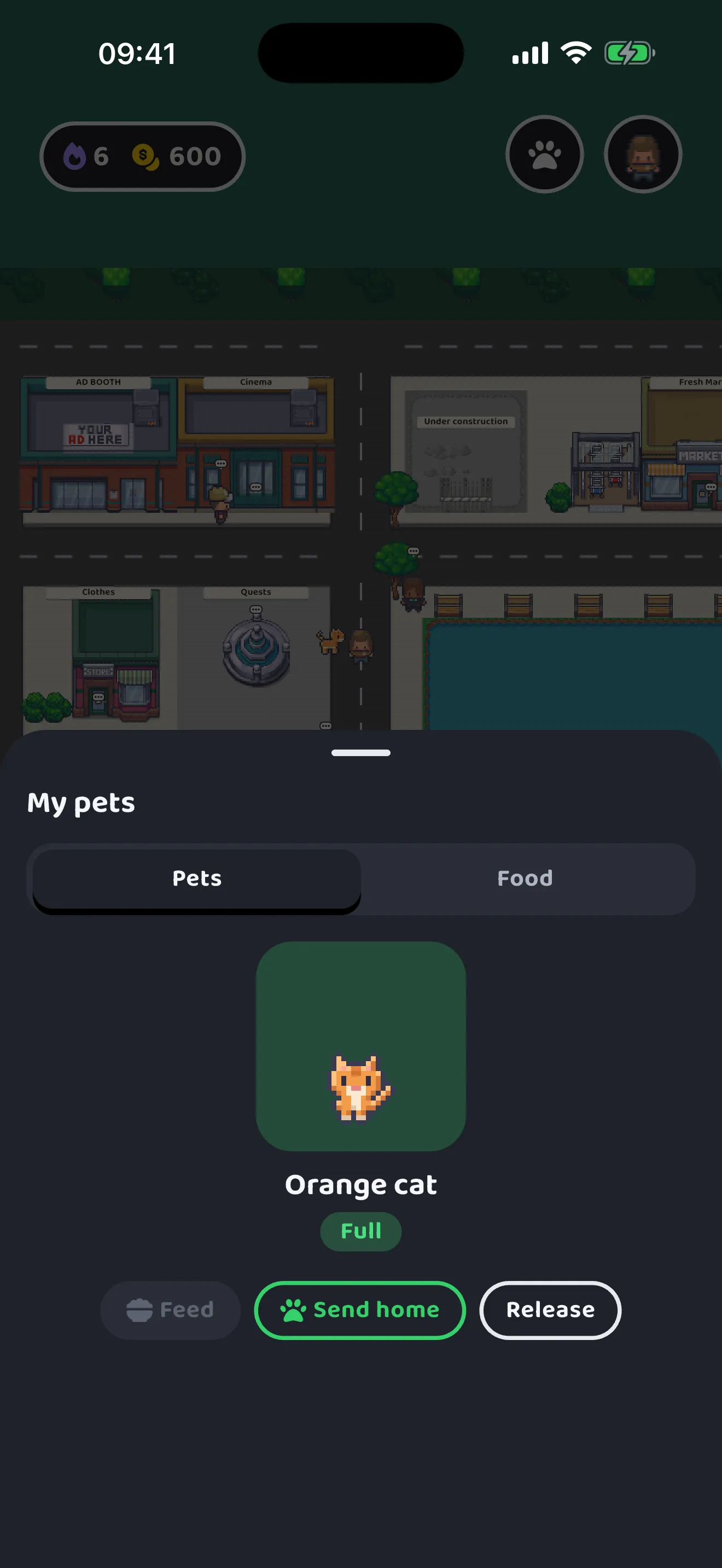 A pet following the player around the map