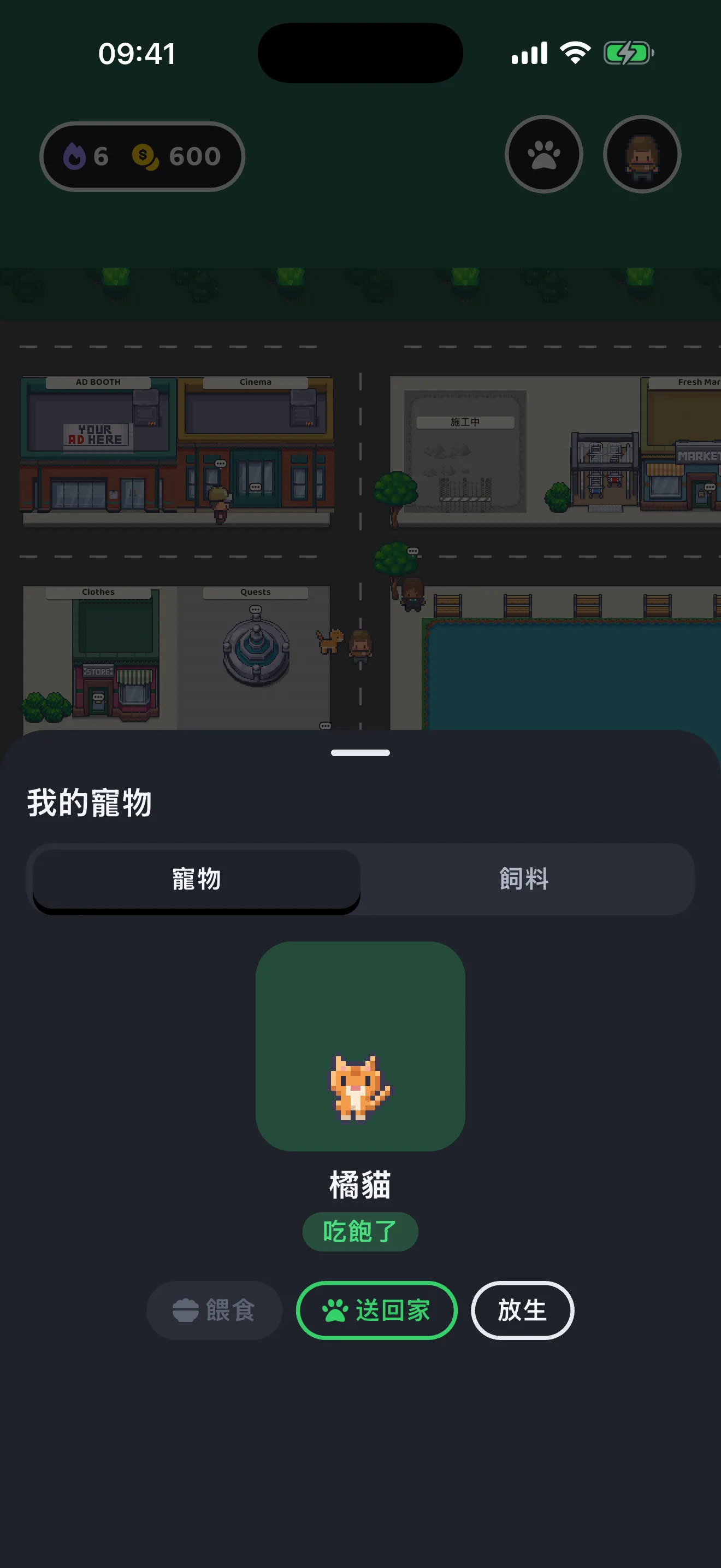 寵物跟著角色在地圖上散步