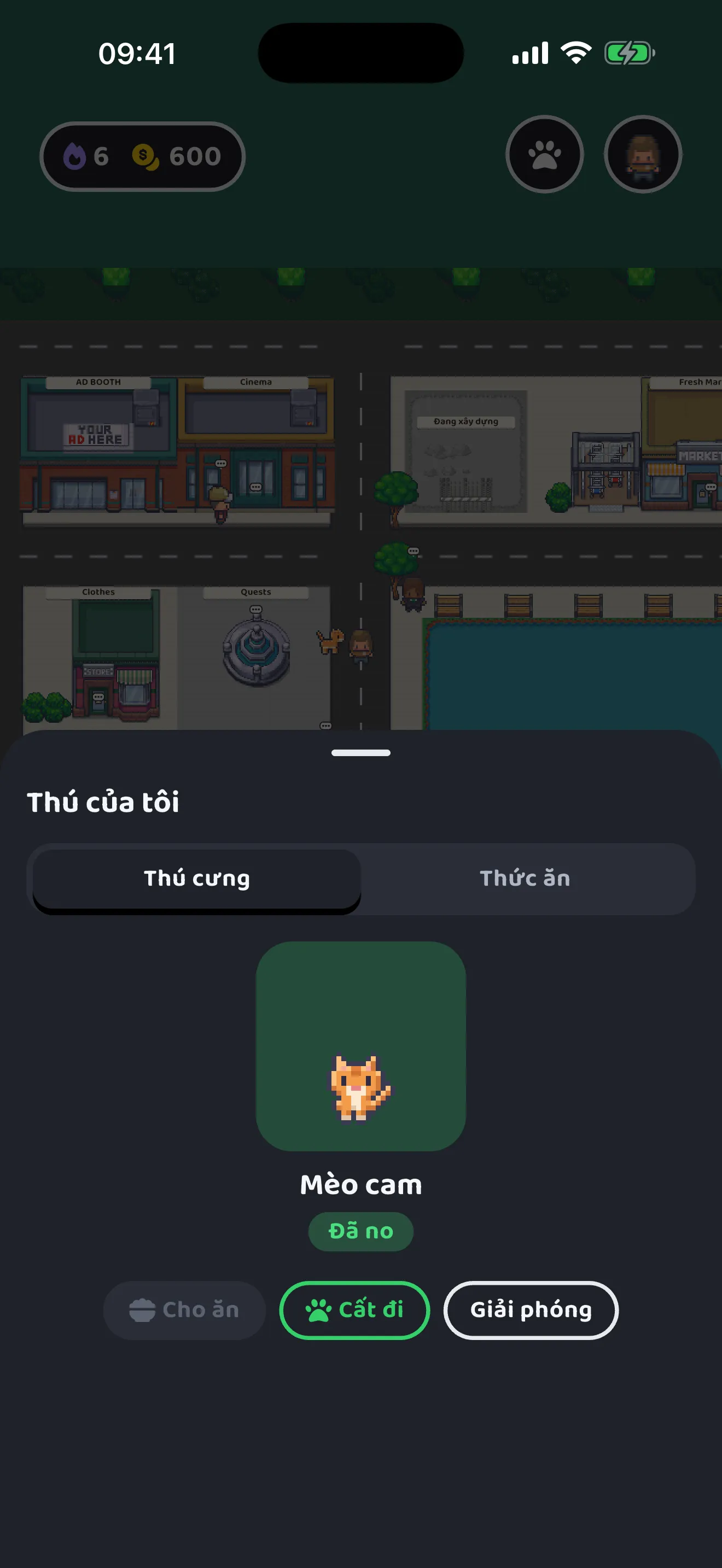 Thú cưng đi theo nhân vật trên bản đồ